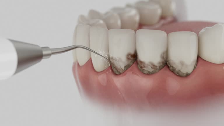 Reliable Dental contractor in Flushing, MI by Dentist Open Now
